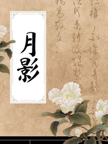月影雙夜