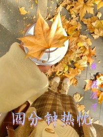 枫：四分钟热忱