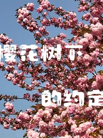 十一（樱花树下的約錠）