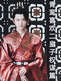 青鸞喜歡二皇子權(quán)謀篇