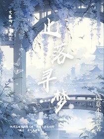 止落寻梦