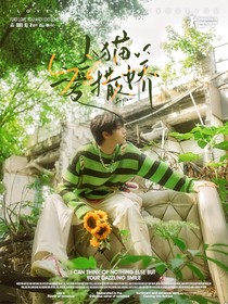 TF三代：小猫爱撒娇