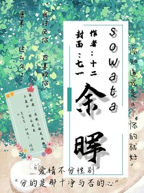 sowata余晖
