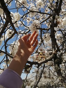 一个初中生的独白