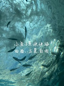 特种兵学校之无尽