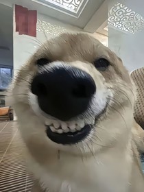 妗玺的随笔集