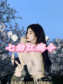 TF四代：七劫红梅令