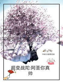超變戰(zhàn)陀：阿圣你真帥