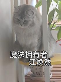 魔法擁有者江煥然