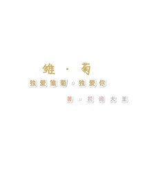雏菊丛