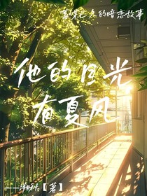 他的目光有夏风