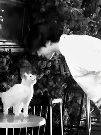 BTS：长情