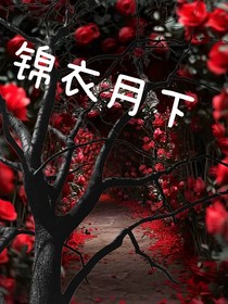 錦衣月下