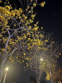 smtr25：随便吃点
