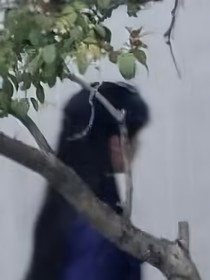 馬嘉祺：小魚，抱歉了
