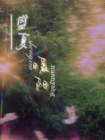 盛夏暖阳（双女主）