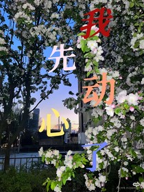 我先动心了