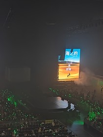 0412属于我们绿海之约