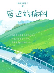 窗边的楠树