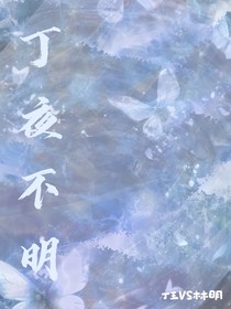丁夜不明