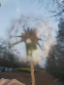 時(shí)光里的溫柔風(fēng)