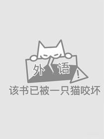 石一样的画册