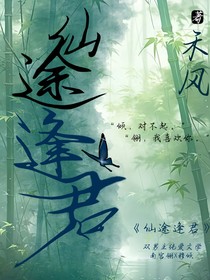 仙途逢君