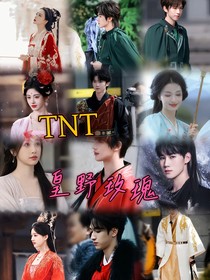 TNT：皇野玫瑰