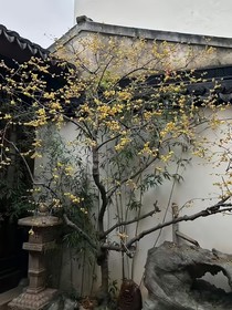 短篇雜記談