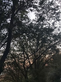 夜黑与天明