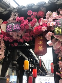 雁有归时，潮来有汛