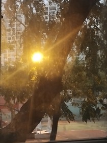 解暑的绿豆