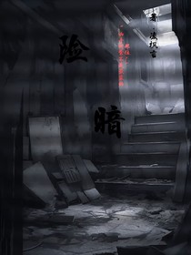 险暗