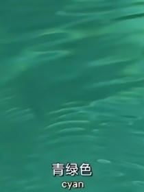 監(jiān)控人：感染破碎