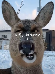 你給我的糖真甜，騙你的，真……苦……