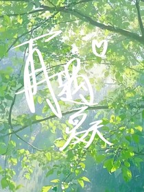 再遇夏天