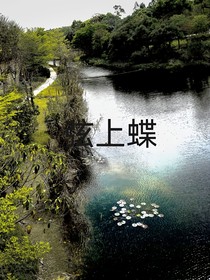 弦上蝶