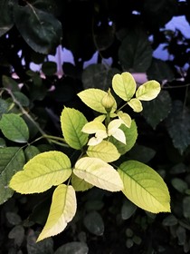 蒋同学，记得回消息！