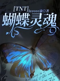 TNT：蝴蝶灵魂