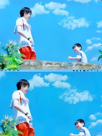 爱在百合季节