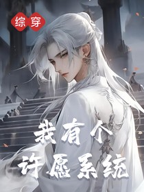 综穿：我有个许愿系统