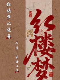 红楼梦之救黛