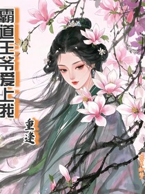 霸道王爷爱上我：重逢