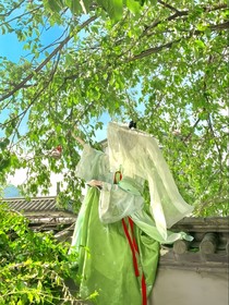 和閨蜜穿越到星際獸世后，我們成了萬人迷