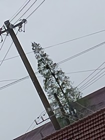 君可為我停留