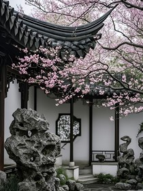 月魄囚心