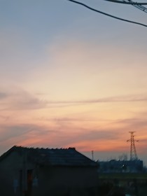 春的悲鸣