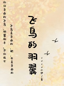凹凸：飛鳥的羽翼
