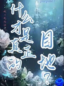 什么才是真正的目地？