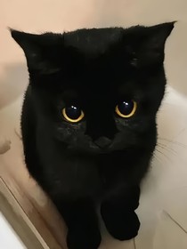 微風(fēng)臨慕